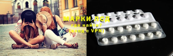 бошки Заводоуковск