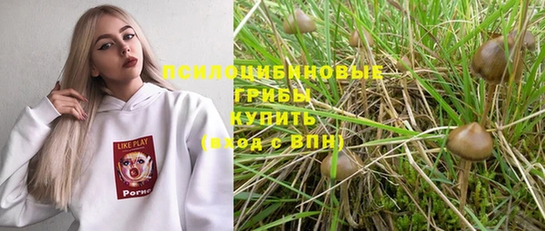 бошки Заводоуковск