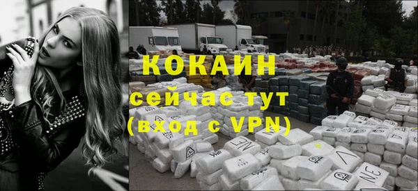 бошки Заводоуковск