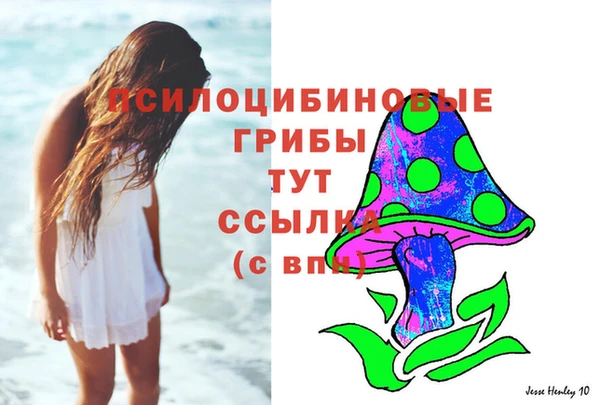 бошки Заводоуковск