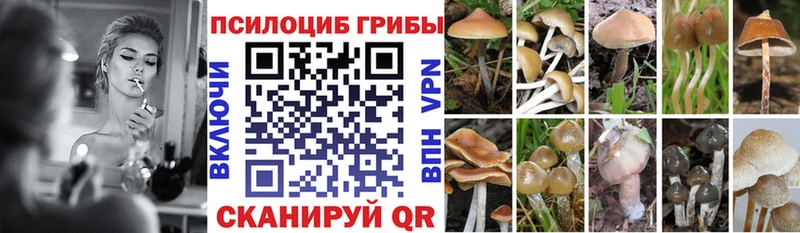 Купить где  Хадыженск  Псилоцибиновые грибы ЛСД 